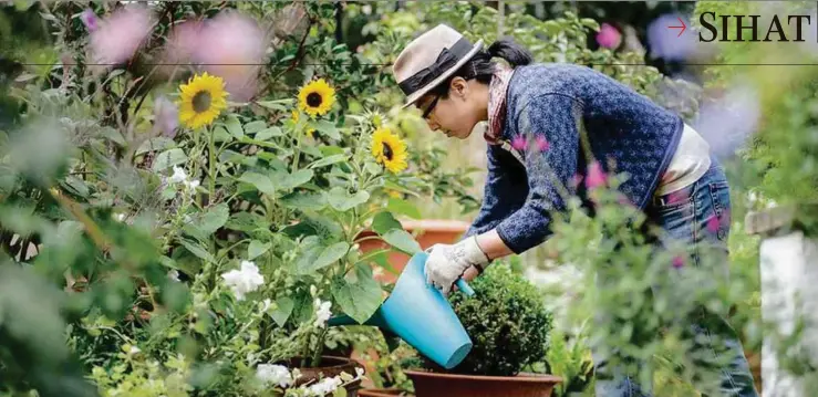  ??  ?? Berkebun 45 minit berupaya bakar 200 kalori.