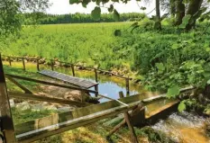  ??  ?? Erfrischun­g im Landkreis Dillingen bietet die Natur-Kneippanla­ge am Stadelbach.