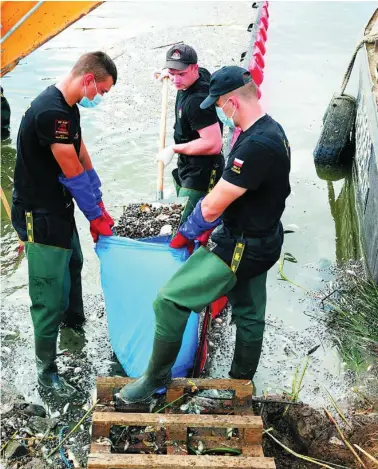  ?? REUTERS ?? La descomposi­ción de los peces también es un riesgo para la salud