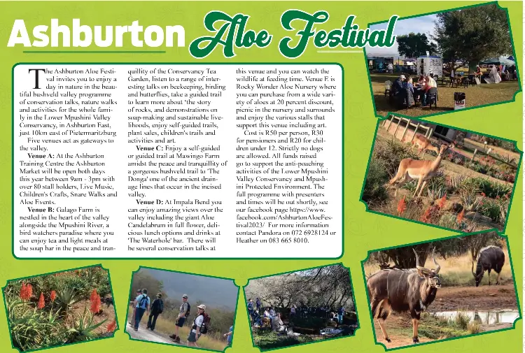 Aloe Festival Ashburton PressReader