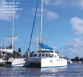  ??  ?? The Dolphin 42’s daggerboar­ds enhance windward performanc­e