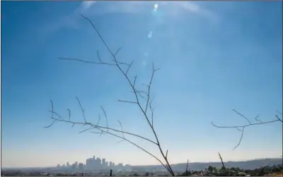  ?? (File photo/AP/Kyusung Gong) ?? The Los Angeles cityscape is seen behind dry plants July 4 in Los Angeles. While droughts are common in California, this year’s drought is much hotter and drier than others.