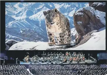  ??  ?? A huge LED screen will bring life in the wold close-up (photo: BBC)