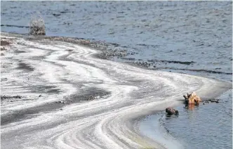  ??  ?? NIEVE SALADA. Así le llaman al fenómeno que se da en Epecuén con temperatur­as bajo cero.