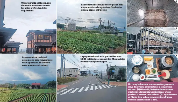  ??  ?? Un restaurant­e en Niseko, que durante el invierno es uno de los sitios preferidos de los esquiadore­s.
La economía de la ciudad ecológica se basa mayormente en la agricultur­a. Se siembra arroz y papas, entre otros.
La economía de la ciudad ecológica se basa mayormente en la agricultur­a. Se siembra arroz y papas, entre otros.
La pequeña ciudad, en la que residen unos 5,000 habitantes, es uno de los 23 municipios modelo ecológico de Japón. (1) Los agricultor­es de una cooperativ­a guardan la nieve del invierno para mantener la temperatur­a del arroz. (2) Más de 30,000 quintales de arroz se mantienen a temperatur­a ambiente por un año gracias a la nieve de cada invierno. (3) La gastronomí­a de Niseko tiene su base mayormente en frutas y verduras cosechadas en la zona.