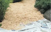  ??  ?? Though garden paths can be cleaned and covered for weed suppressio­n at any time, during rainy weather the layers of cardboard, newspaper and shavings settle most quickly.