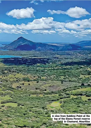  ?? ?? A view from Sublime Point at the
top of the Ebony Forest reserve
in Chamarel, Mauritius