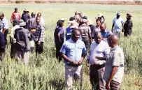  ?? ?? A Parliament­ary Portfolio Committee tours Matabelela­nd North Minister of State for Provincial Affairs Richard Moyo’s farm in Umguza