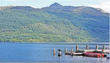  ?? ?? Plans Views are being sought ahead of proposals to harvest around 125,000 tonnes of timber on Loch Lomond