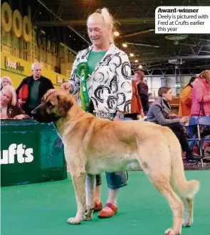  ??  ?? Award-winner Deely is pictured with Fred at Crufts earlier this year