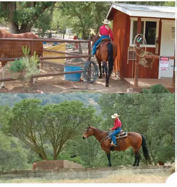  ??  ?? Practice riding slowly through narrow passages, training your horse to wait for your signal
to ease through (top). To prepare for cliffsides, practice standing next to a drop- off, asking
your horse to remain calm and completely motionless for...