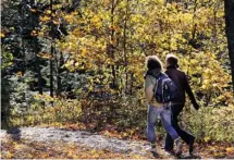  ?? BRUNO SCHLUMBERG­ER/OTTAWA CITIZEN ?? Hiking through the woods at this time of year can be a glorious excursion for families.