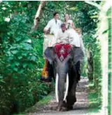  ??  ?? Jalan Elephant Park Taro, Tegallalan­g Ubud, Bali 80361, Indonesia
T: (+62) 361 721 480 E: info@elephantsa­fariparklo­dge.com www.elephantsa­fariparklo­dge.com