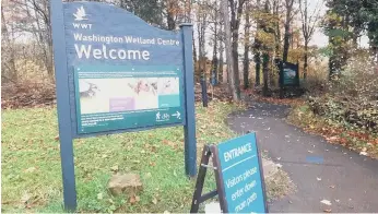  ??  ?? Washington Wetland Centre plans to re-open on Monday.