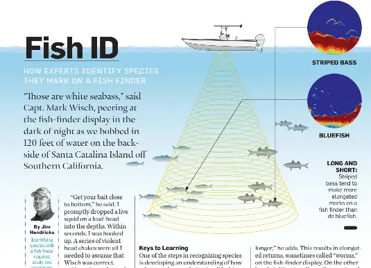 Fish ID - PressReader