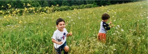  ?? MARTHA LEB MOLNAR ?? The author’s grandsons frolic among the native and nonnative weeds in her Vermont meadow.