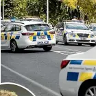  ?? STUFF ?? Holden Commodores are the best fit for police needs, Police Associatio­n president Chris Cahill says, but police will have to think outside the box for their next fleet vehicle.