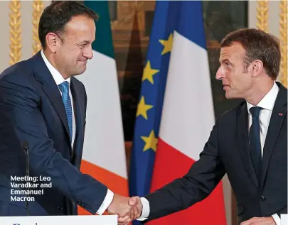  ??  ?? Meeting: Leo Varadkar and Emmanuel Macron