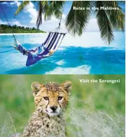  ??  ?? Relax in the Maldives
Visit the Serengeti