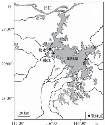  ??  ?? 图 1鄱阳湖采样点分布F­ig. 1 Location map of sampling sites in Poyang Lake