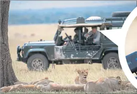  ??  ?? Above: Expert guide Dave Breed drives as cameraman John Aitchison, pictured centre, films from the truck. Right: Male lion Tatu, matriarch Charm’s eldest son