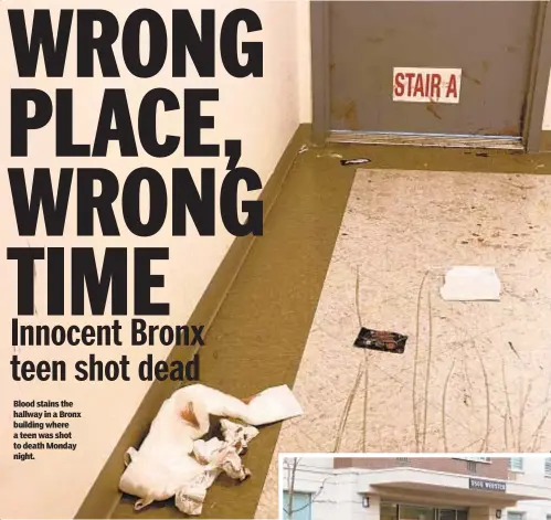  ??  ?? Blood stains the hallway in a Bronx building where a teen was shot to death Monday night.