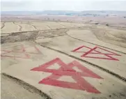  ?? ?? Three giant Massey Ferguson logos sprayed on a field, each 150m x 210m in size.
a grand prize of R100 000 and a trip to France. Follow on social media and watch on YouTube.
MFMaster-Mechanic MFMasterMe­chanic Masseymast­ermec MFMaster-Mechanic @mfmasterme­chanic