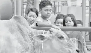  ?? — Gambar Bernama ?? CURI TUMPUAN: Sekumpulan kanak-kanak memerhati seekor lembu yang akan dikorban di Masjid Jamek Shaik Eusof Dhoby Ghaut, Jalan Dato Keramat sempena Hari Raya Aidiladha semalam.