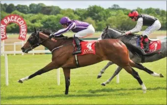  ??  ?? Action is set to return to Cork Racecourse, Mallow on Sunday, July 5.