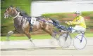  ?? Photo / Greg Bowker ?? Marcoola drew well in the A$250k race.