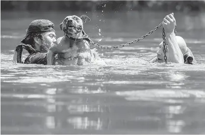  ?? Ashley Landis/The Dallas Morning News via AP ?? n Marine Corps League member Jeff Webb, left, of Montgomery, Texas, and rescue diver Stephan Bradshaw of South Carolina rescue a dog that was chained to a flooded porch Thursday in Lumberton, Texas.