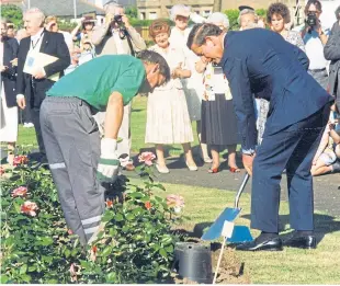  ??  ?? Planting roses at Stobsmuir Ponds, Dundee, in June 1995.