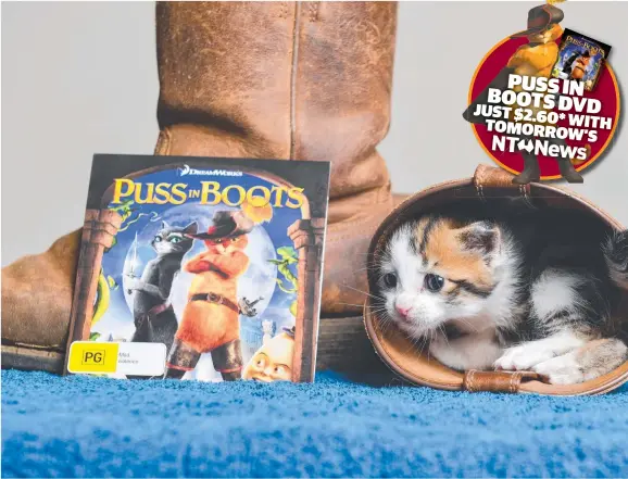  ?? Picture: BRENTON EDWARDS ?? Niko the kitten can’t wait to get her Puss in Boots DVD for $2.60 with tomorrow’s