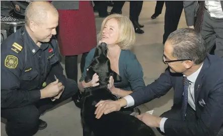  ?? DEAN PILLING ?? Premier Rachel Notley, Finance Minister Joe Ceci and Calgary firefighte­r Brad McDonald play with fire hall mascot Honey in Calgary Friday. Notley announced additional government support for firefighte­rs who contract certain reproducti­ve cancers.