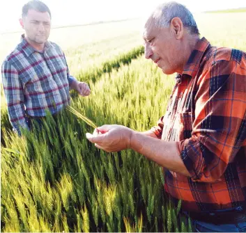  ?? GETTY IMAGES/ISTOCKPHOT­O ?? Farmers are faced with a consumer base that has ousted science in favour of something much more nebulous like beliefs and feelings, argues Toban Dyck. perhaps as a consequenc­e of their silence over the years that has allowed those without knowledge of agricultur­e in Canada to tell stories and spread informatio­n that was never theirs to tell.