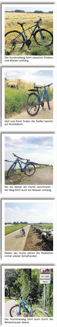  ??  ?? Die Hunteradwe­g führt zwischen Feldern und Wiesen entlang. Sdyll und Ruhe finden die Radler bereits am Huntedeich. Wo die Weser die Hunte verschluck­t – der Weg führt auch am Wasser entlang. Neben der Hunte sehen die Radfahrer immer wieder Schafherde­n. Der Hunteradwe­g führt auch durch die Wildeshaus­er Geest.