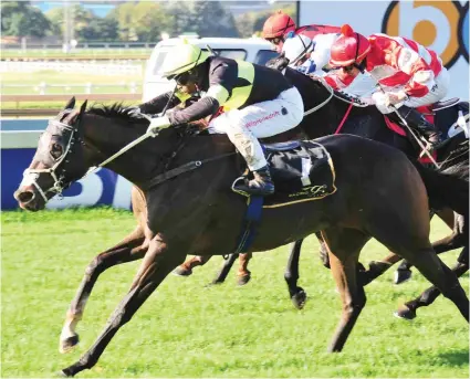  ?? Picture: JC Photograph­ics ?? FANCIED. Sean Tarry has four runners in Saturday’s R1-million Peermont Emperors Palace Charity Mile at Turffontei­n and if the bookmakers are right, Matador Man is the most fancied of the Tarry Quartet.