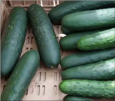  ?? PHOTO BY EMILY RYAN — FOR MEDIANEWS GROUP ?? Cucumbers add crunch to everything from salad to stir-fry.