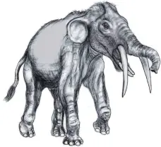 ?? FOTO: ?? Rekonstruk­tion des Ur-Elefanten Gomphother­ium, der vor etwa 15 Millionen Jahren in der Ravensburg­er Gegend lebte.