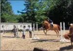  ?? ANDREW CASS — THE NEWS-HERALD ?? A rider practices a jump July 7 at the Chagrin Hunter Jumper Classic at the Cleveland Metroparks Polo Field in Moreland Hills.