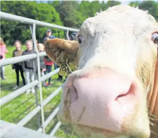  ??  ?? Farm visits are a valuable way to educate young people about farming and where their food comes from.