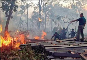  ?? SUPPLIED ?? Officials attempt to extinguish a forest fire last year on Oknha Soeng Sam Ol’s Dai Thanh Company land in Mondulkiri province.