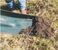  ??  ?? Bevan checks the soil from the top paddock treated five years ago with his Organic Soil Conditione­r.