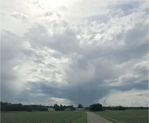  ?? TOBAN DYCK ?? Farmers worry about the weather, because their livelihood depends on it Toban Dyck writes. “When it rains, we want it to stop soon, fearing drowning and disease. When it’s dry, we’d like a slow inch of rain.”