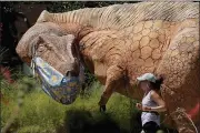  ?? ERIC GAY — THE ASSOCIATED PRESS ?? A jogger runs past a mask clad Acrocantho­saurus at the Witte Museum in San Antonio, Thursday, May 28, 2020. The museum has been closed due to the COVID-19 pandemic and is scheduled to reopen May 30th.