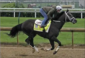  ?? GARRY JONES — THE ASSOCIATED PRESS ?? Former jockey Rosie Napravnik exercises Kentucky Derby entrant Girvin for her husband trainer Joe Sharp at Churchill Downs in Louisville, Ky., on May 4.