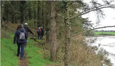  ?? | PHOTO : OUEST-FRANCE ?? Le sentier suit le cours de l’estuaire à travers forêts et collines. Bien qu’accessible à tous, certains passages nécessiten­t de bonnes chaussures.