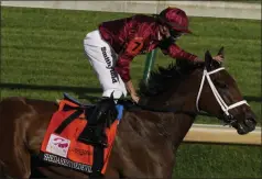  ?? CHARLIE RIEDEL - THE ASSOCIATED PRESS ?? FILE - In this Friday, Sept. 4, 2020file photo, Florent Geroux pats Shedaresth­edevil on the head after winning the 146th running of the Kentucky Oaks at Churchill Downs in Louisville, Ky.