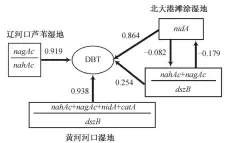  ??  ?? 图 7不同湿地沉积物二苯­并噻吩降解通径Fig. 7 Degradatio­n pathway of DBT degradatio­n in different types of wetland