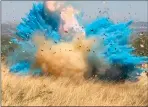  ??  ?? A 2017 gender reveal that led to a wildfire